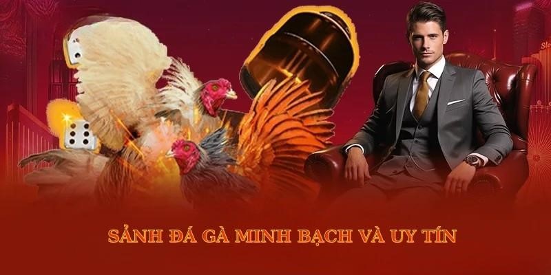 Vicclub Cockfighting - The Most Dramatic And Thrilling Experience 2025 1 6 1